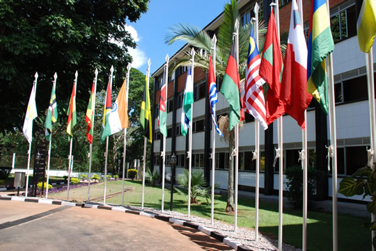 Flags outside the venue for the 6th Commonwealth Youth Forum, Entebbe, Uganda, November 2007.